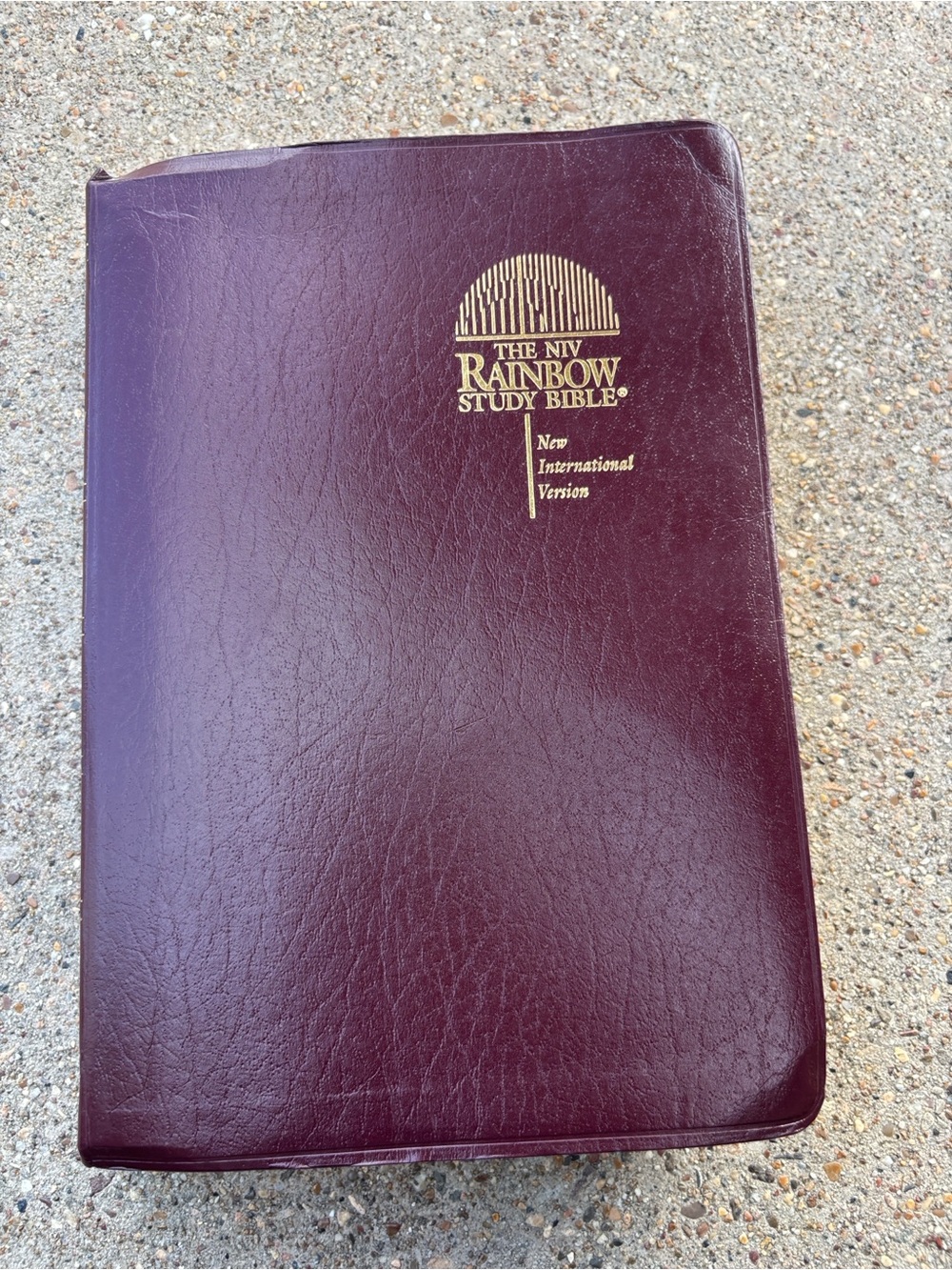The Rainbow Study Bible The NIV — Burgundy Cover
